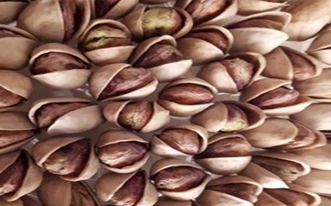 تصویر 1 از خرید پسته خام کرمان + قیمت فروش استثنایی